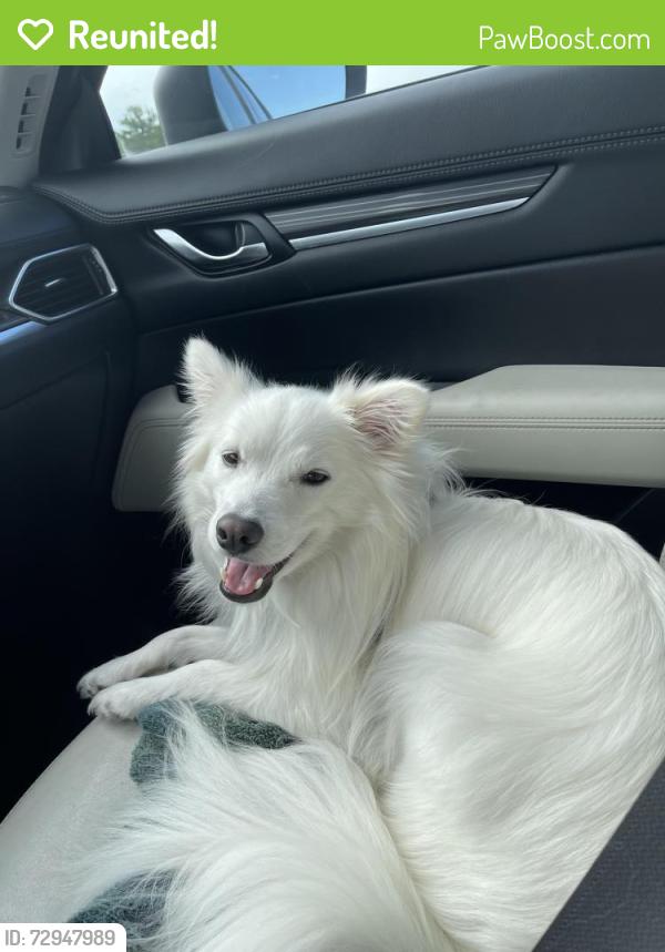 Reunited Male Dog last seen Cabot Estates Dr, Rendon, TX 76063, USA, Rendon, TX 76063
