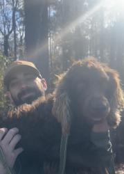 Lost Male Dog last seen McMinn Central High School, Englewood, TN 37329