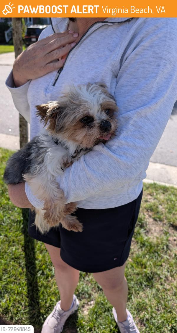 Found/Stray Male Dog last seen Embers and Brannon , Virginia Beach, VA 23456
