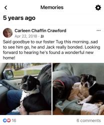 Reunited Male Dog last seen Oakwood Elementary , Hickory, NC 28601