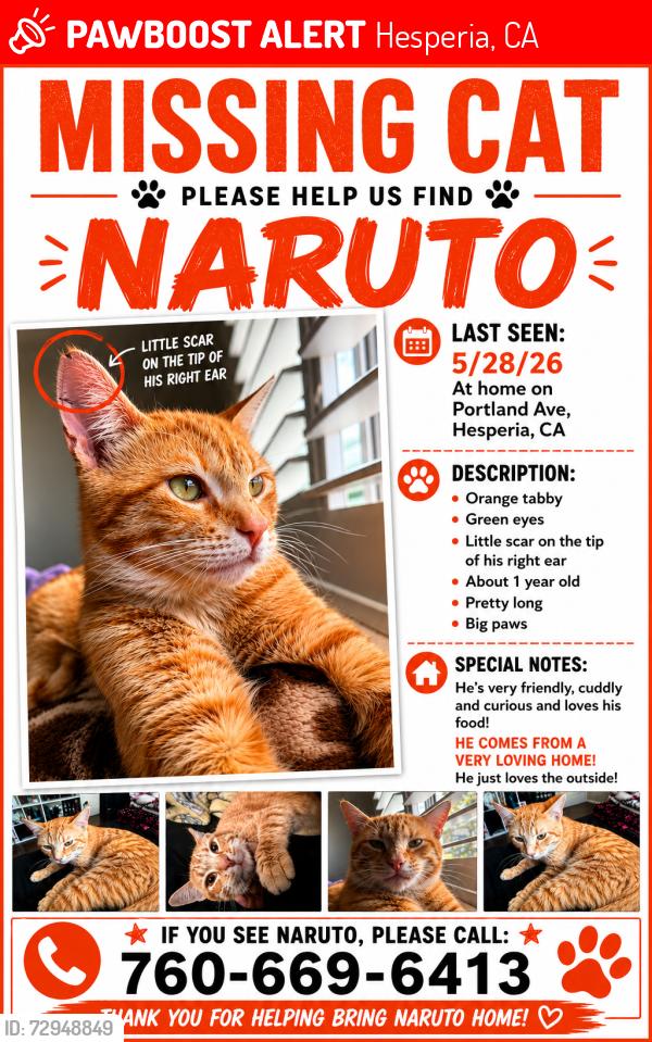 Lost Male Cat last seen Portland ave and Pendleton st, Hesperia, CA 92345