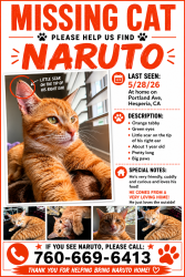 Lost Male Cat last seen Portland ave and Pendleton st, Hesperia, CA 92345