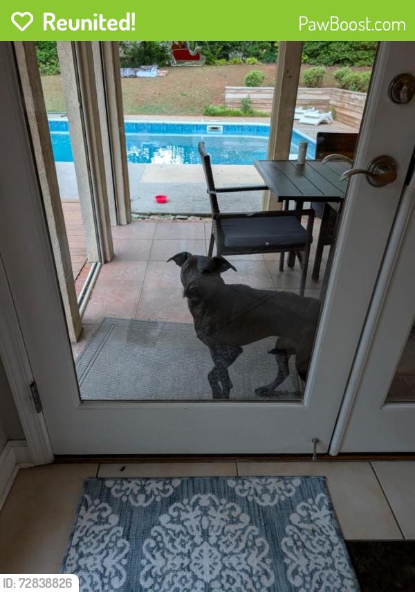 Reunited Unknown Dog last seen Longview Drive & Dogwood Circle , Norcross, GA 30071