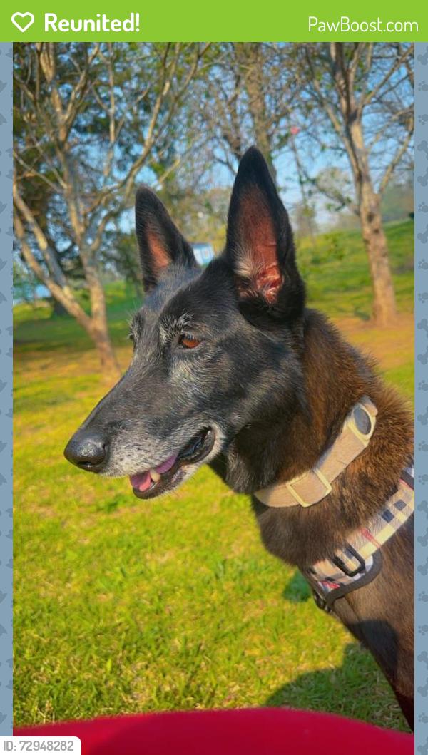 Reunited Female Dog last seen West Union, West Union, SC 29696