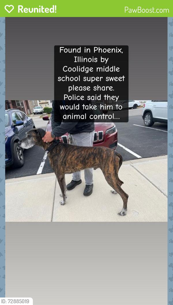 Reunited Male Dog last seen Coolidge Middle school , Phoenix, IL 60426