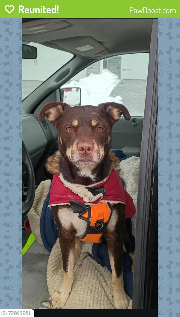 Reunited Male Dog last seen E. Washington & Mitthofer , Indianapolis, IN 46229