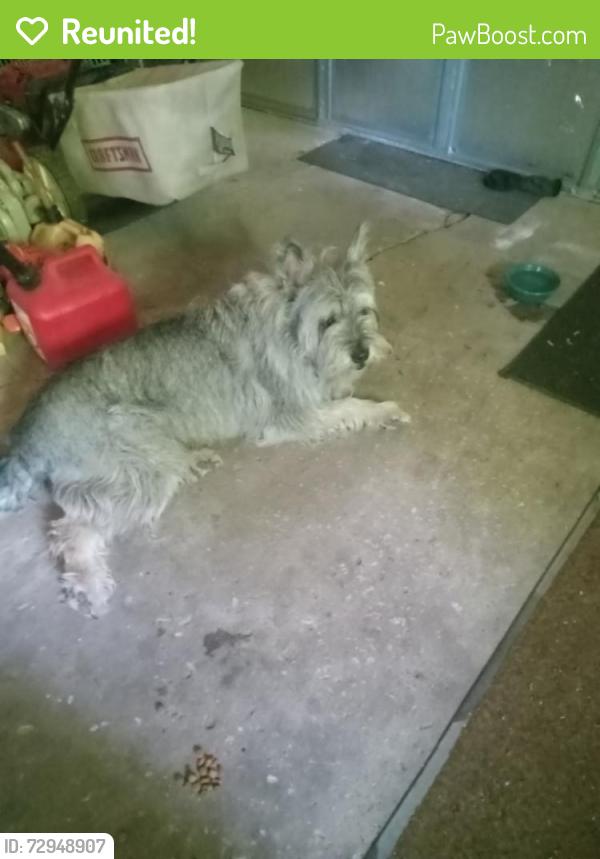 Reunited Unknown Dog last seen Near 13th Ave, Green Bay, WI 54304, USA, Green Bay, WI 54304