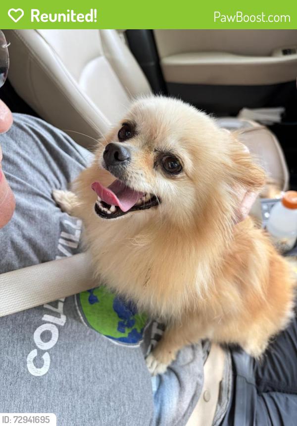 Reunited Unknown Dog last seen Mc Donwell and Curtis Rd Colleyville , Colleyville, TX 76034