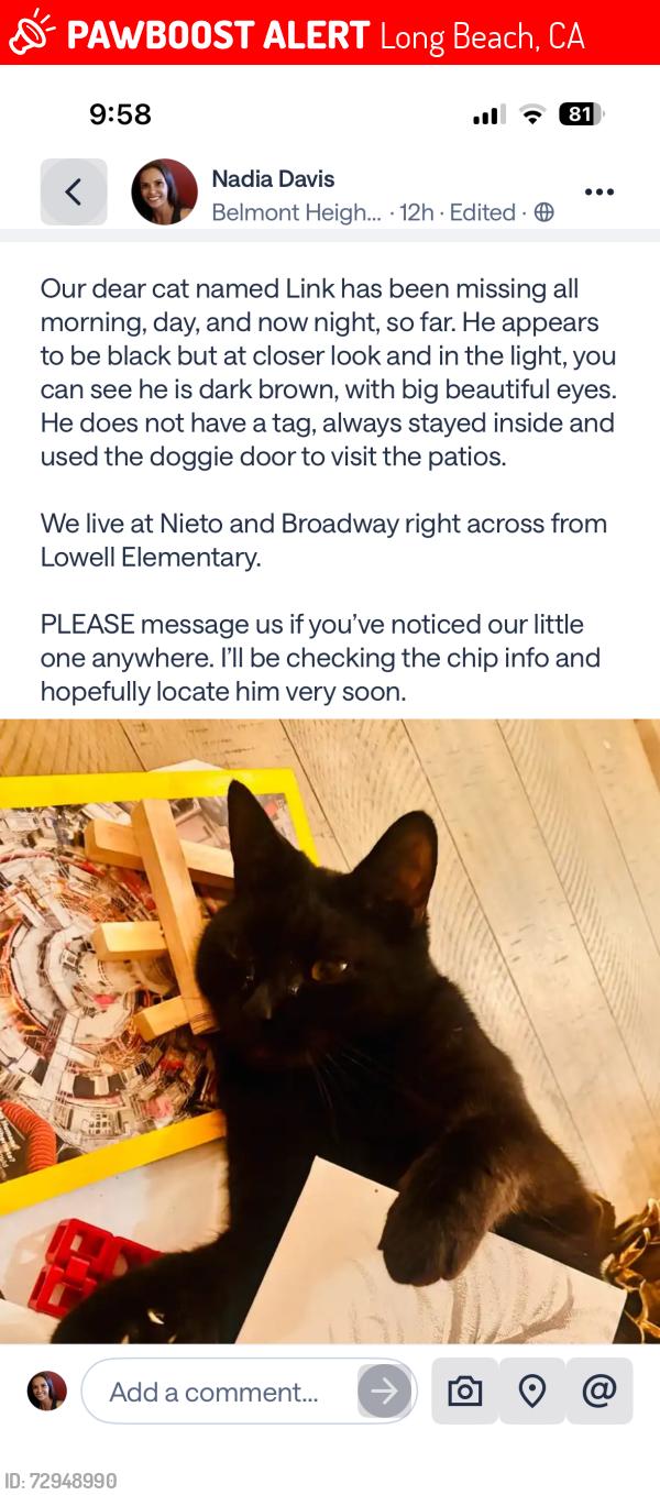 Lost Male Cat last seen Nieto and Broadway , Long Beach, CA 90803