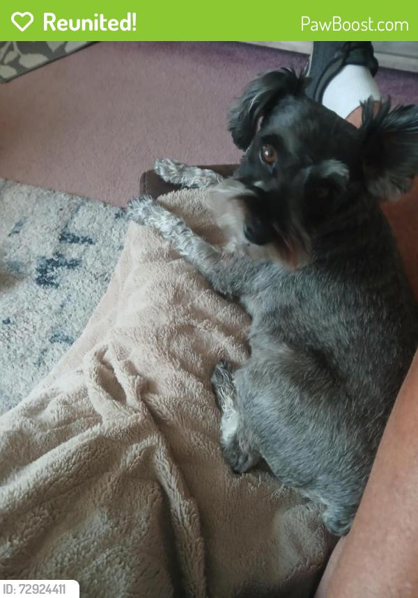 Reunited Male Dog last seen Colbach Motorcycle , Morristown, TN 37814
