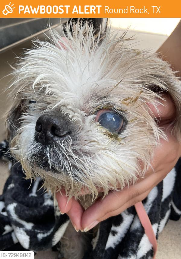 Found/Stray Male Dog last seen CR 122 near Redbud, Round Rock, TX 78664