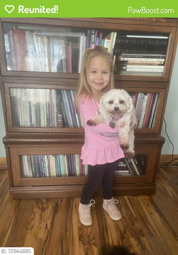 Reunited Female Dog last seen Was last seen on Fairview and Rural, Rockford, IL 61107