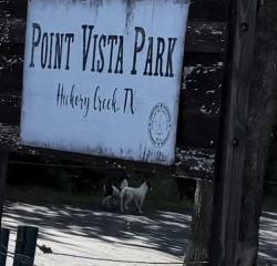 Found/Stray Unknown Dog last seen Boat ramp Point Vista , Hickory Creek, TX 75065