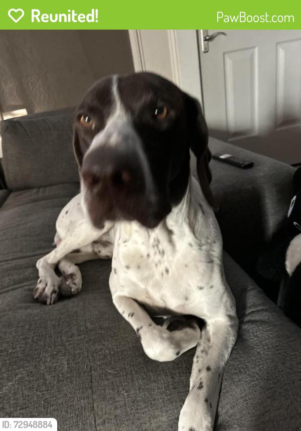 Reunited Male Dog last seen Ellis Ave , Dunn, NC 28334