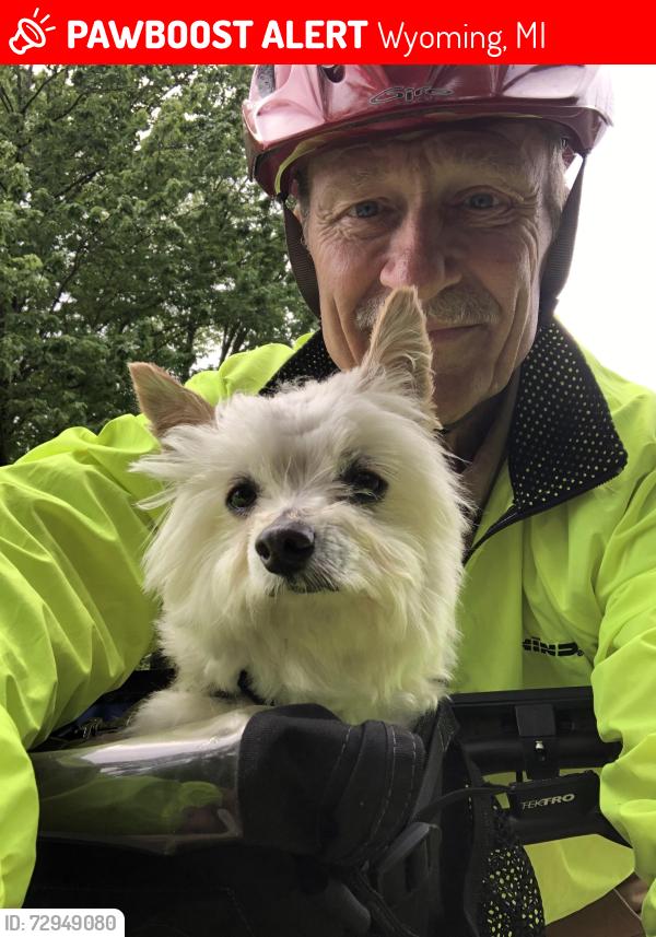 Lost Male Dog last seen Herman Ave. and Bellevue St., city of Wyoming c, Wyoming, MI 49509