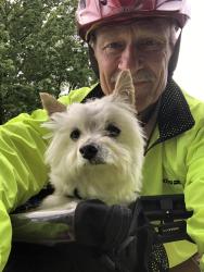 Lost Male Dog last seen Herman Ave. and Bellevue St., city of Wyoming c, Wyoming, MI 49509