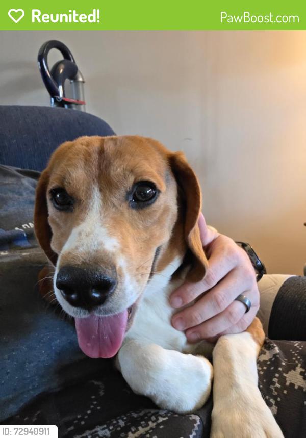 Reunited Male Dog last seen Near , Christiana, TN 37037