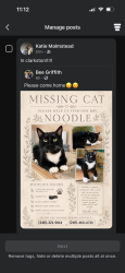 Lost Male Cat last seen hazel ct, Village of Clarkston, MI 48348