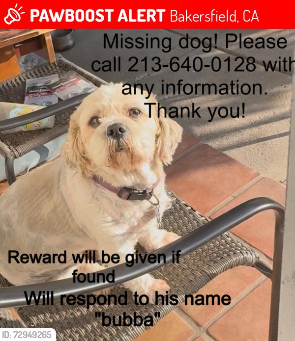 Lost Male Dog last seen Near Arlington St, Bakersfield, CA 93305