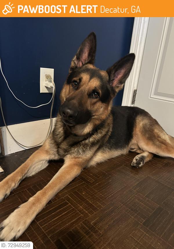 Found/Stray Male Dog last seen Columbia Dr and woods dr, Decatur, GA 30032
