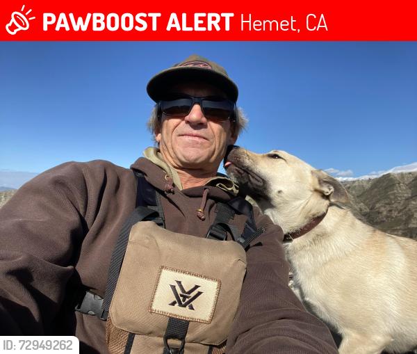 Lost Female Dog last seen Orange place and Cornell Hemet CA, Hemet, CA 92544
