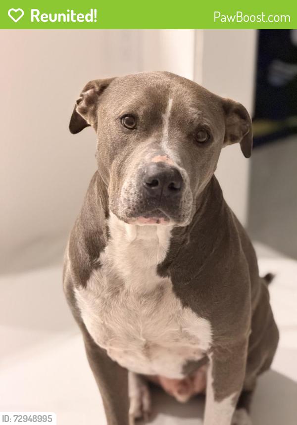Reunited Male Dog last seen Highlands , Vero Beach, FL 32962