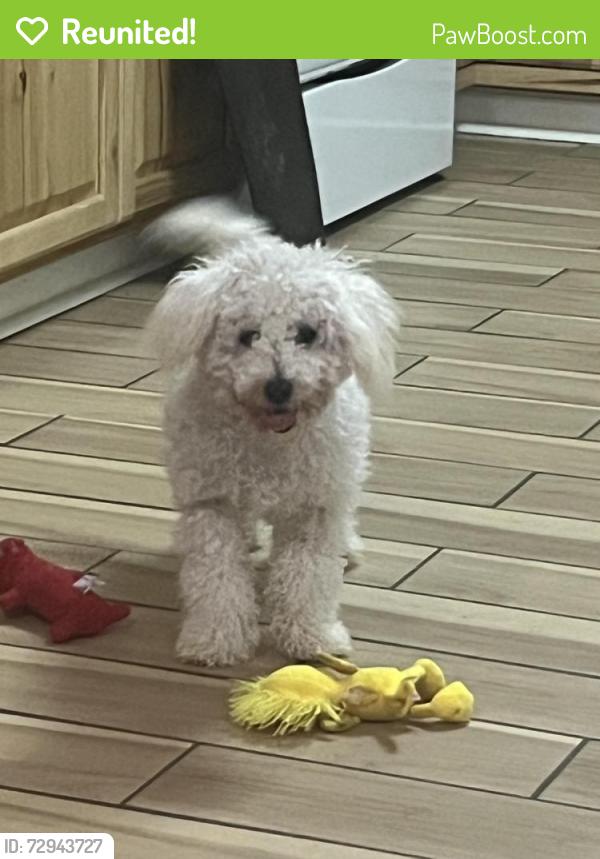 Reunited Male Dog last seen Near NC-55 Coats, NC  27521 United States, Coats, NC 27521