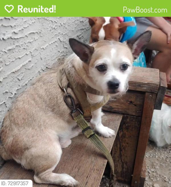 Reunited Male Dog last seen FRONT AND BERKS, Philadelphia, PA 19122