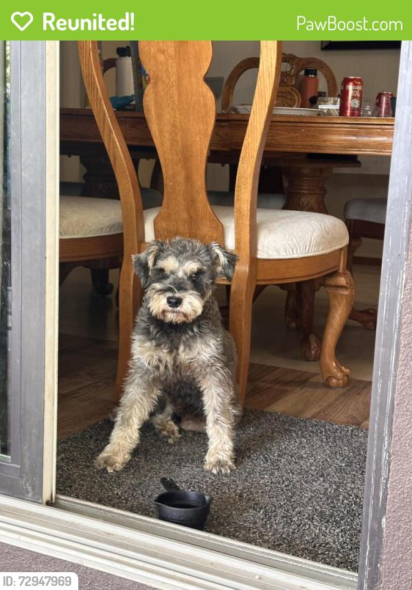 Reunited Male Dog last seen Ceres at , Chico, CA 95926