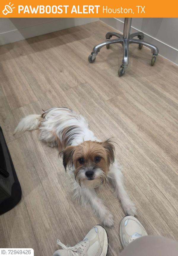 Found/Stray Male Dog last seen At Macgregor park, Houston, TX 77021