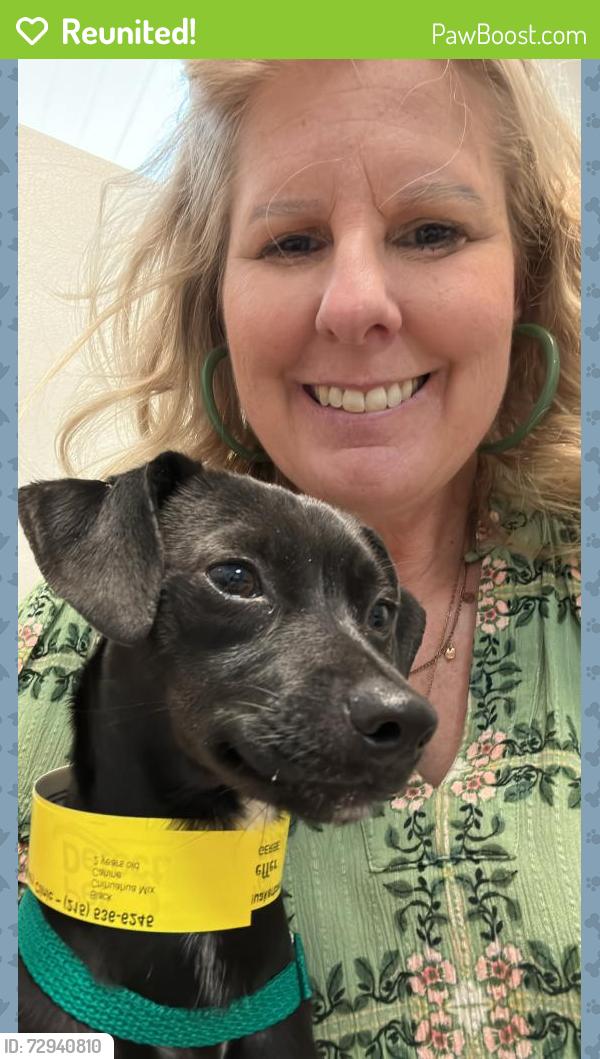 Reunited Female Dog last seen North Ambler Street, Quakertown, PA 18951