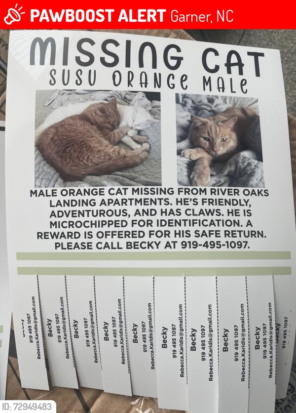 Lost Male Cat last seen Near mossycup , Garner, NC 27529