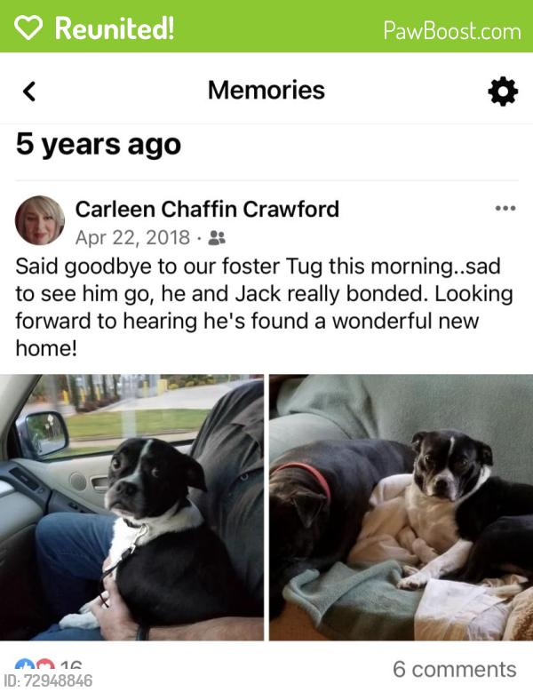 Reunited Male Dog last seen Oakwood Elementary , Hickory, NC 28601