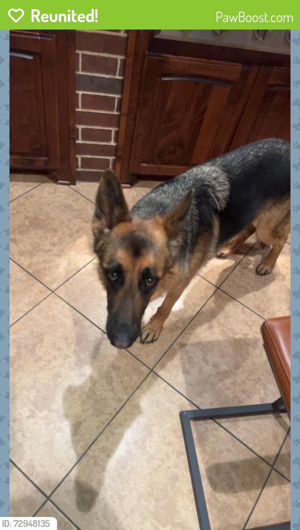 Reunited Female Dog last seen Estes Park / Carillon, Southlake, TX 76092