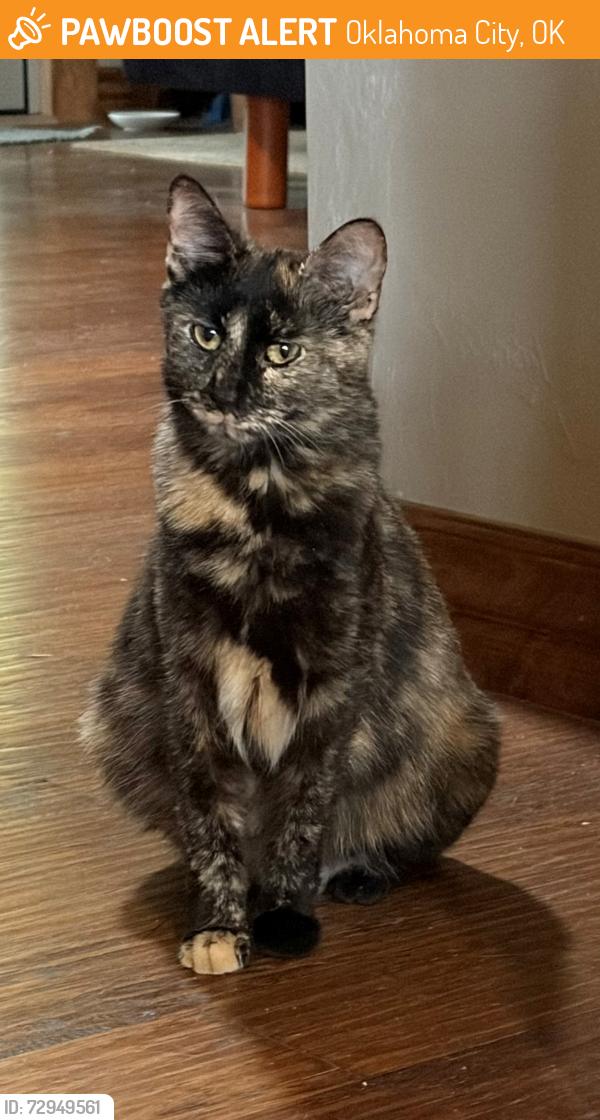 Found/Stray Female Cat last seen West Britton & N MacArthur, Oklahoma City, OK 73132