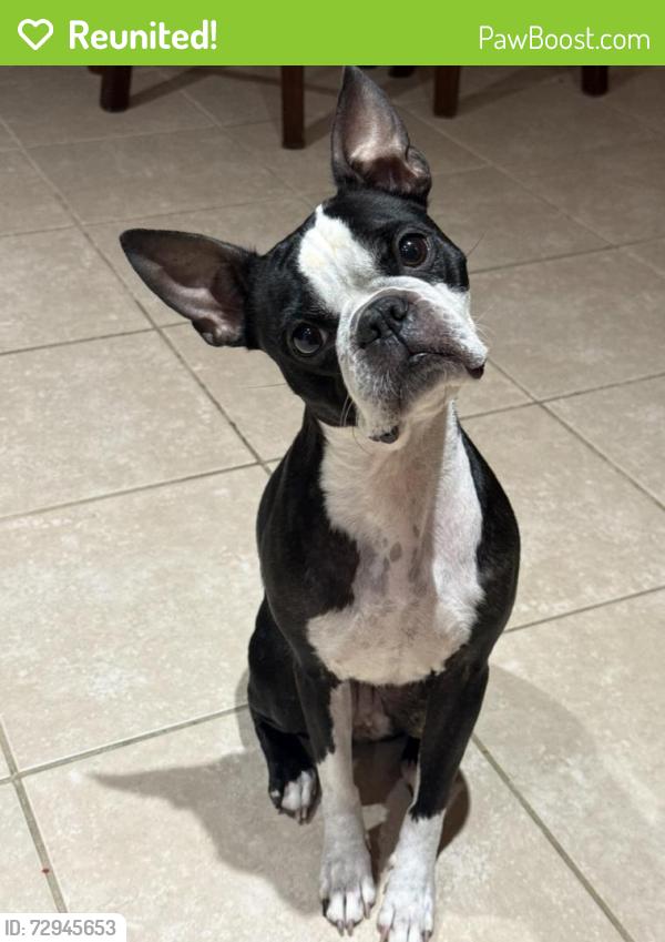 Reunited Female Dog last seen Katy creek ranch , Katy, TX 77494