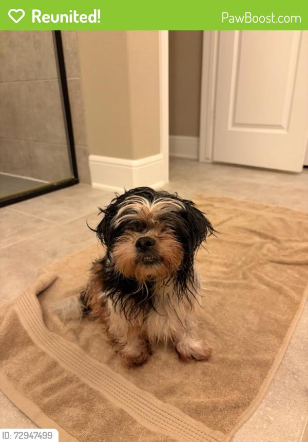Reunited Male Dog last seen Inside Aston at Cinco Ranch apmt complex, Katy, TX 77450