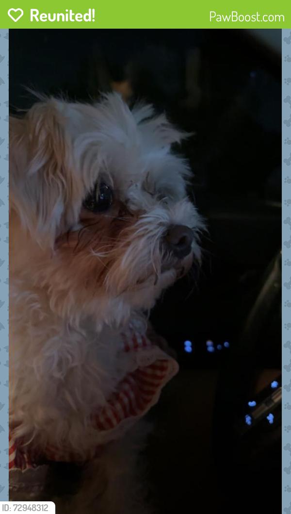 Reunited Female Dog last seen Jurupa , Riverside, CA 92504