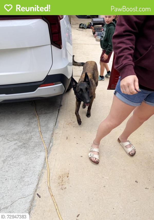 Reunited Male Dog last seen Highway 54 west, Brandywine Boulevard, Fayetteville, GA 30214