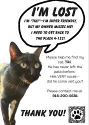 Reunited Male Cat last seen The Plaza in Pacific Beach , San Diego, CA 92109