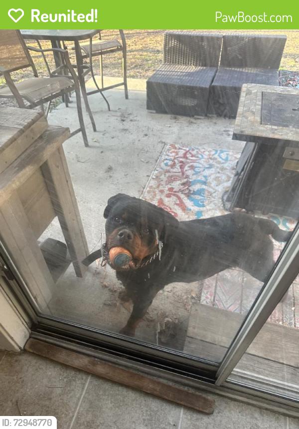 Reunited Male Dog last seen Near Lake Carolina Dr, Columbia, SC 29229, USA, Columbia, SC 29229