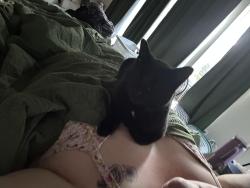 Lost Male Cat last seen Highway 55 and floating feather, Eagle, ID 83616