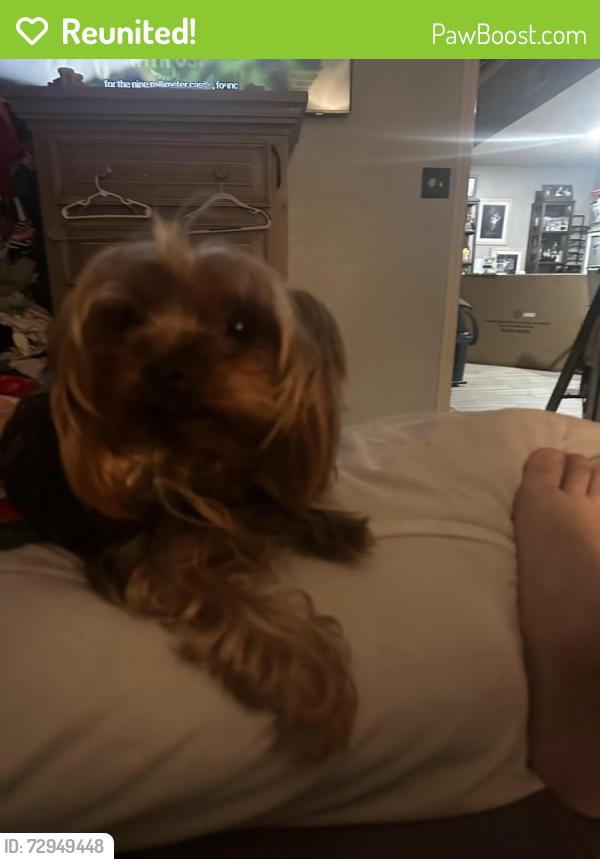 Reunited Male Dog last seen Beach Dr & Holiday Dr., Panama City Beach, FL 32408