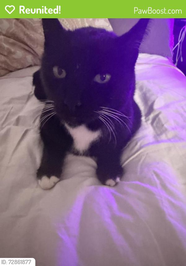 Reunited Male Cat last seen Lockwood & 112th (Kanaka Creek Way), Maple Ridge, BC V2W 1G8