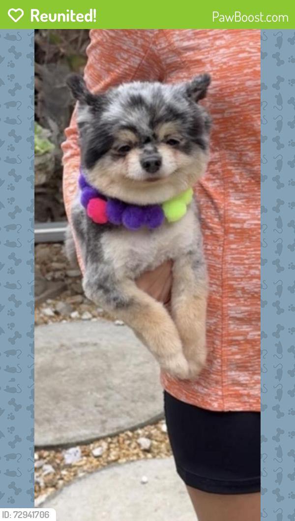 Reunited Female Dog last seen 236st and 194 ave , Homestead, FL 33031