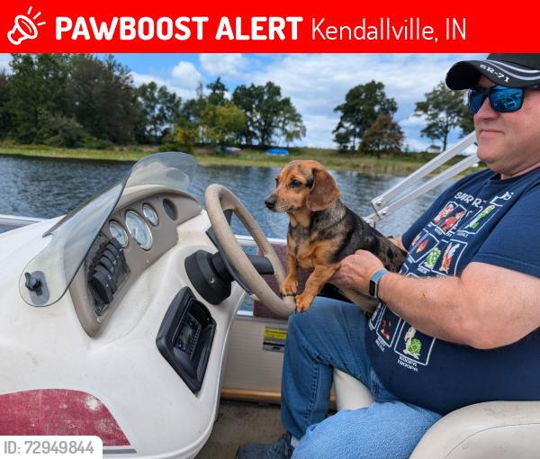 Lost Female Dog last seen Harlash Street and State road 6, Kendallville, IN 46755
