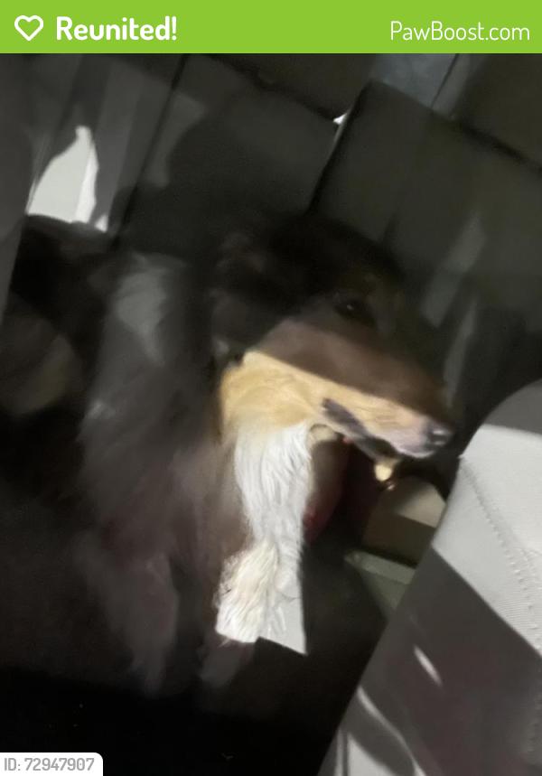 Reunited Unknown Dog last seen Douglas and seneca, Wichita, KS 67214