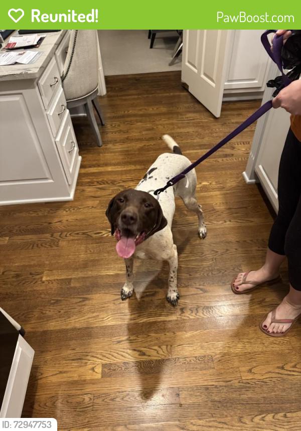 Reunited Male Dog last seen Paces Ferry/Mt Paran, Atlanta, GA 30327
