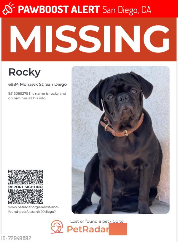 Lost Male Dog last seen Mohawk st, San Diego, CA 92115