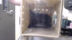 Shelter Stray Unknown Cat last seen Near BLOCK E ASBURY AVE, DENVER CO 80222, Denver, CO 80223